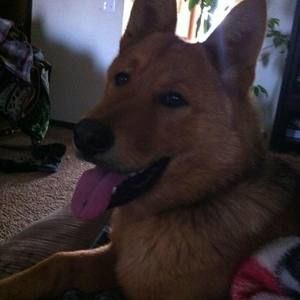 Meet your Posher, Johnella